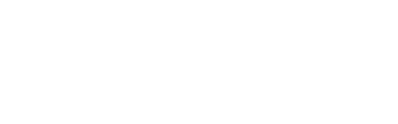Bilanix